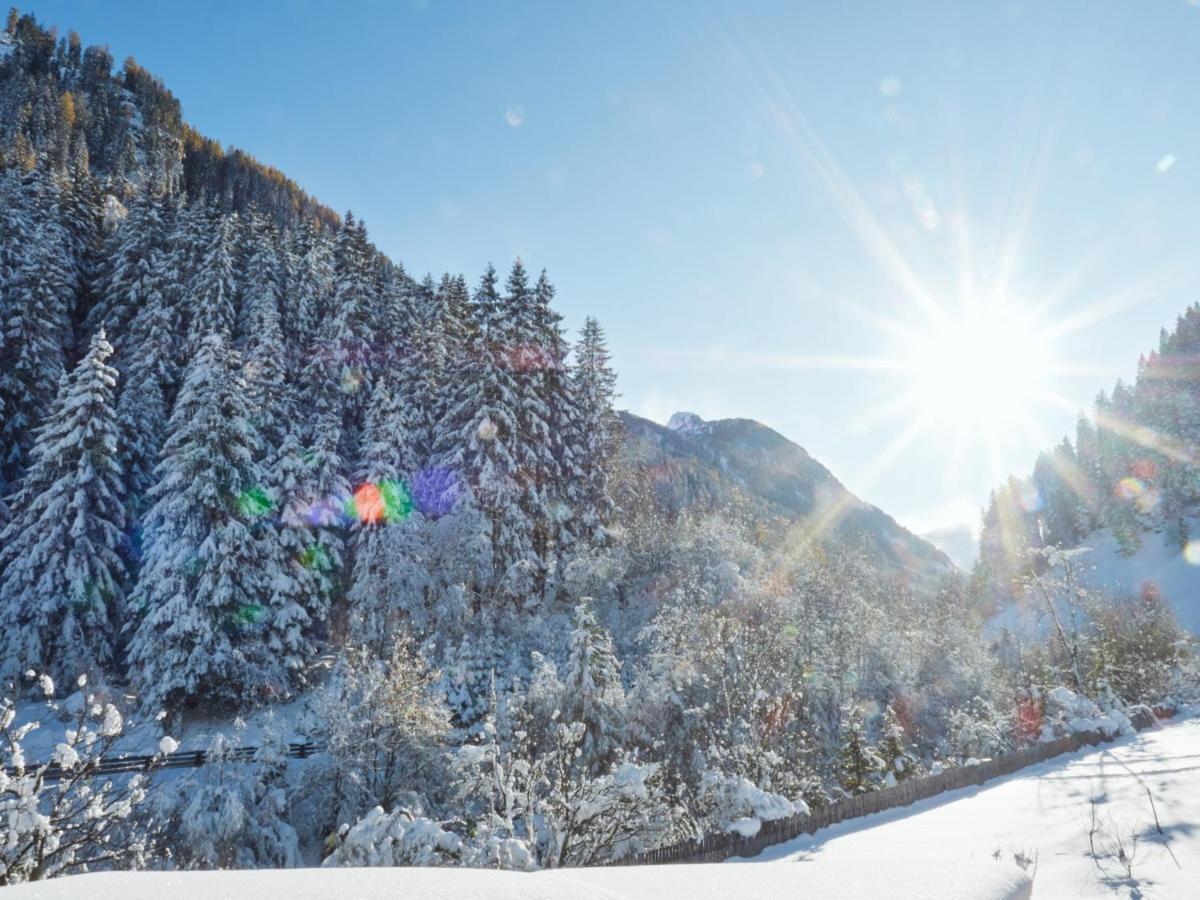Wildbach Apartments Neustift im Stubaital Eksteriør billede